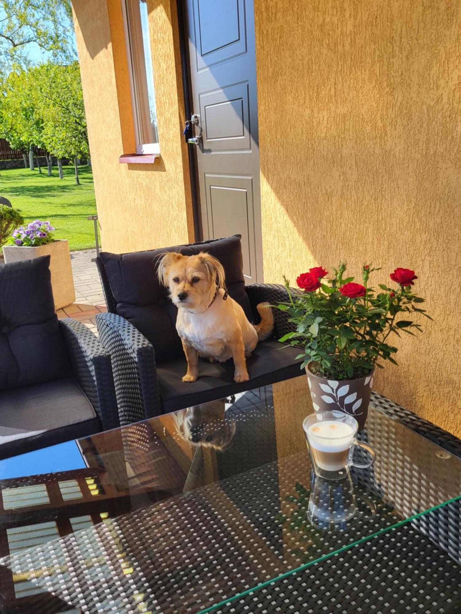 Namelis Rugile Apartment Друскининкай Екстериор снимка